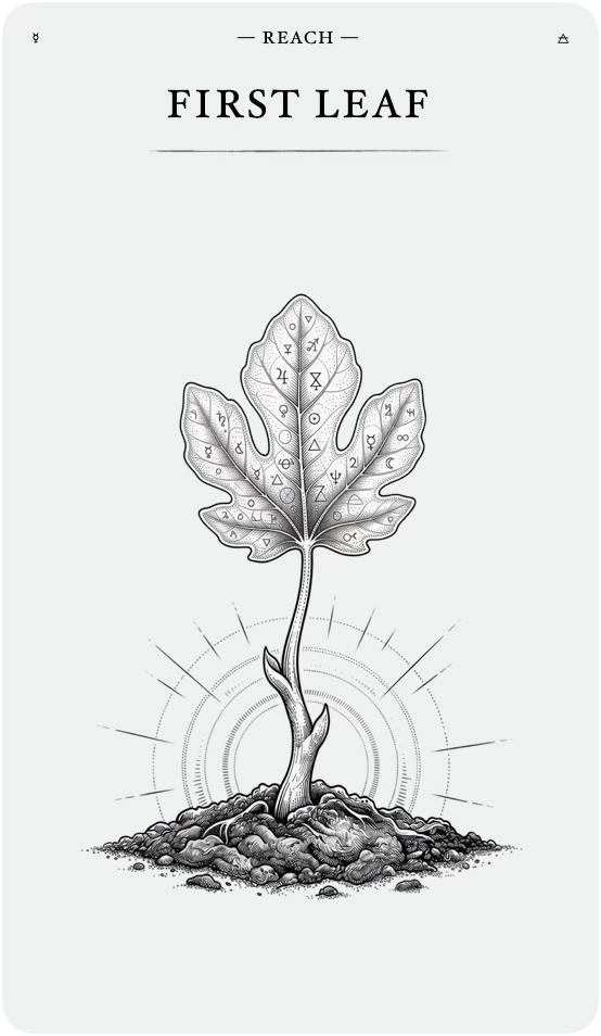 The First Leaf
