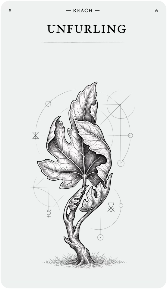 The Unfurling