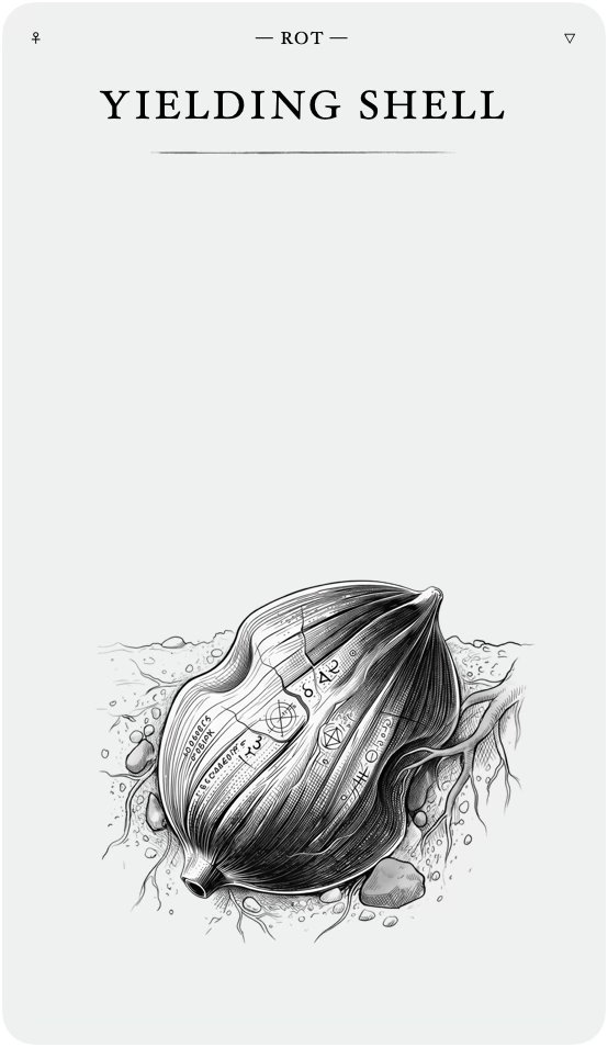 The Yielding Shell