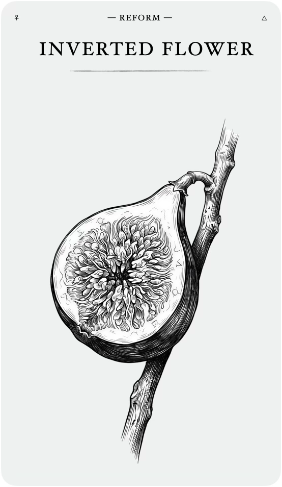The Inverted Flower