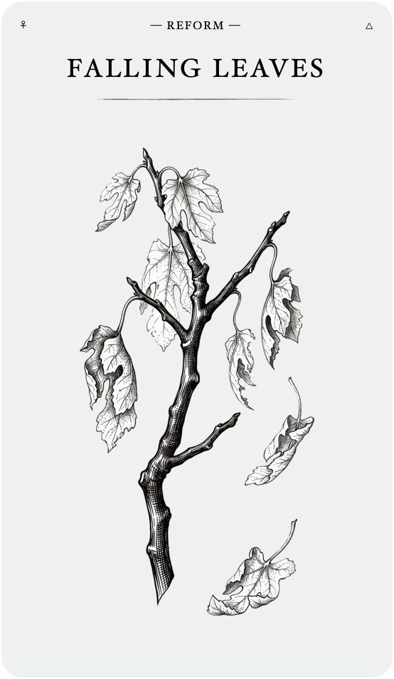 The Falling Leaves