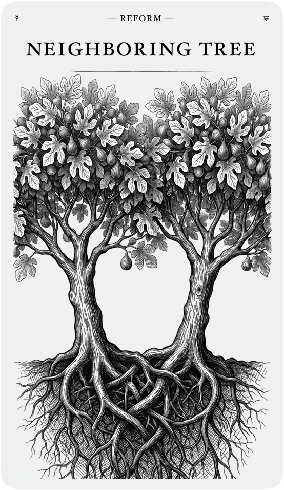 The Neighboring Tree